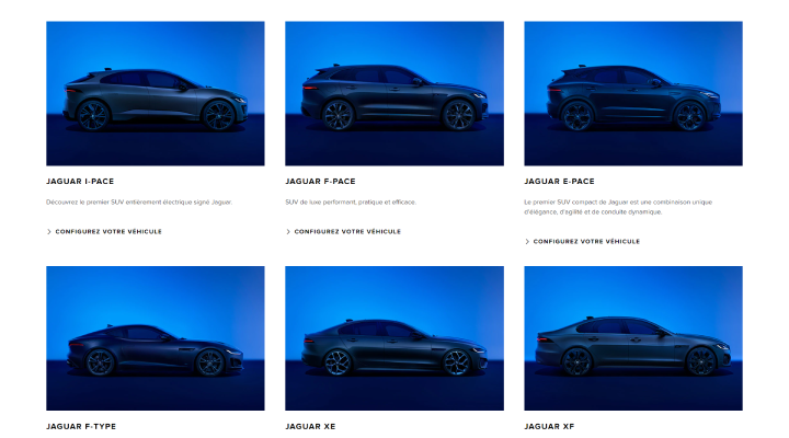 portfolio asset