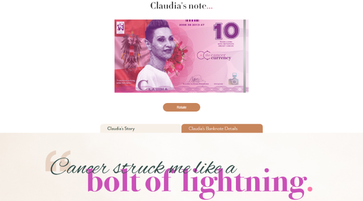 portfolio asset