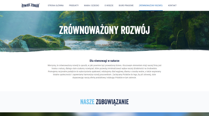 portfolio asset